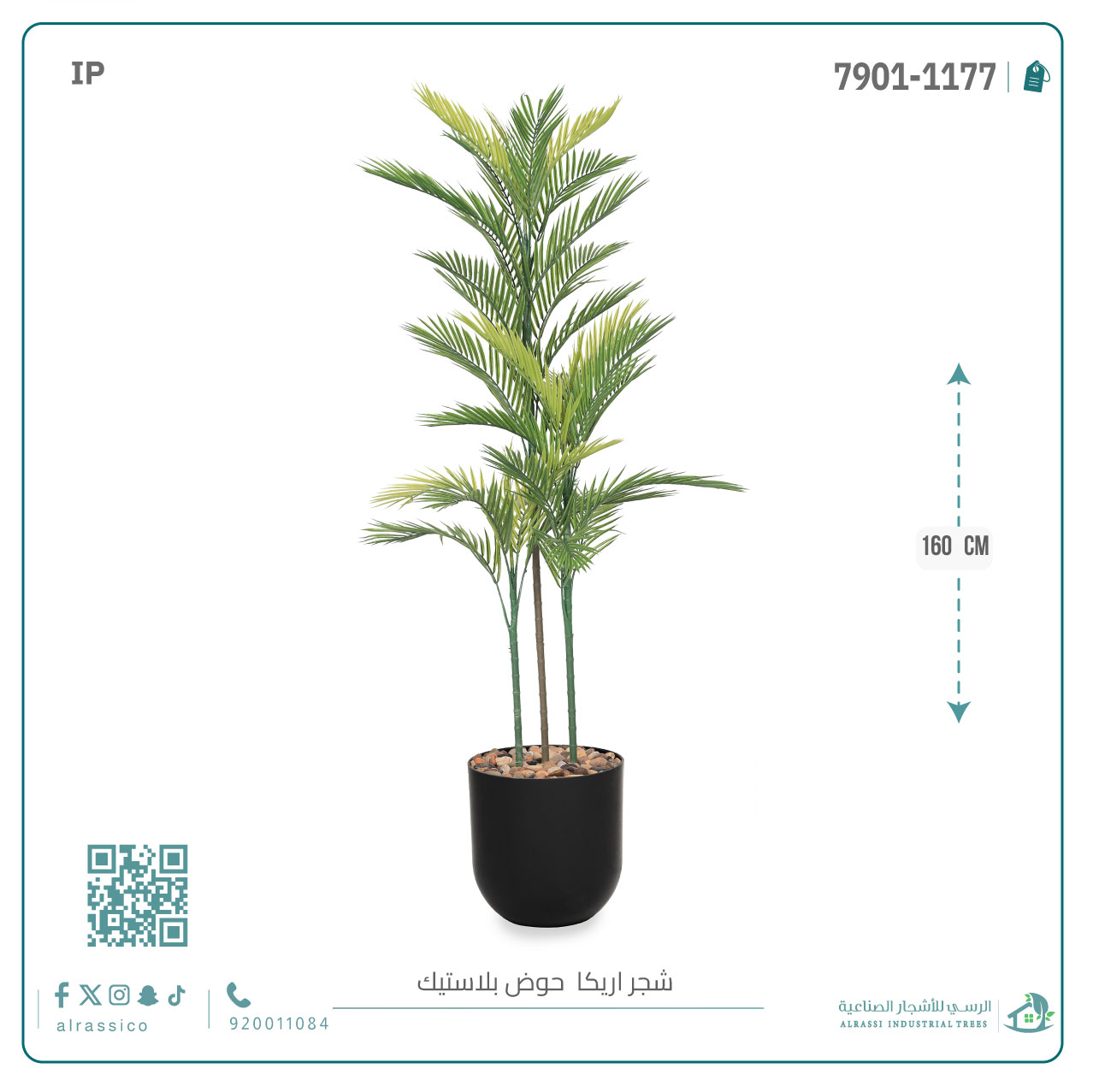  نخلة أريكا صناعية ( ارتفاع 160 سم ) حوض بلاستيك أسطواني 