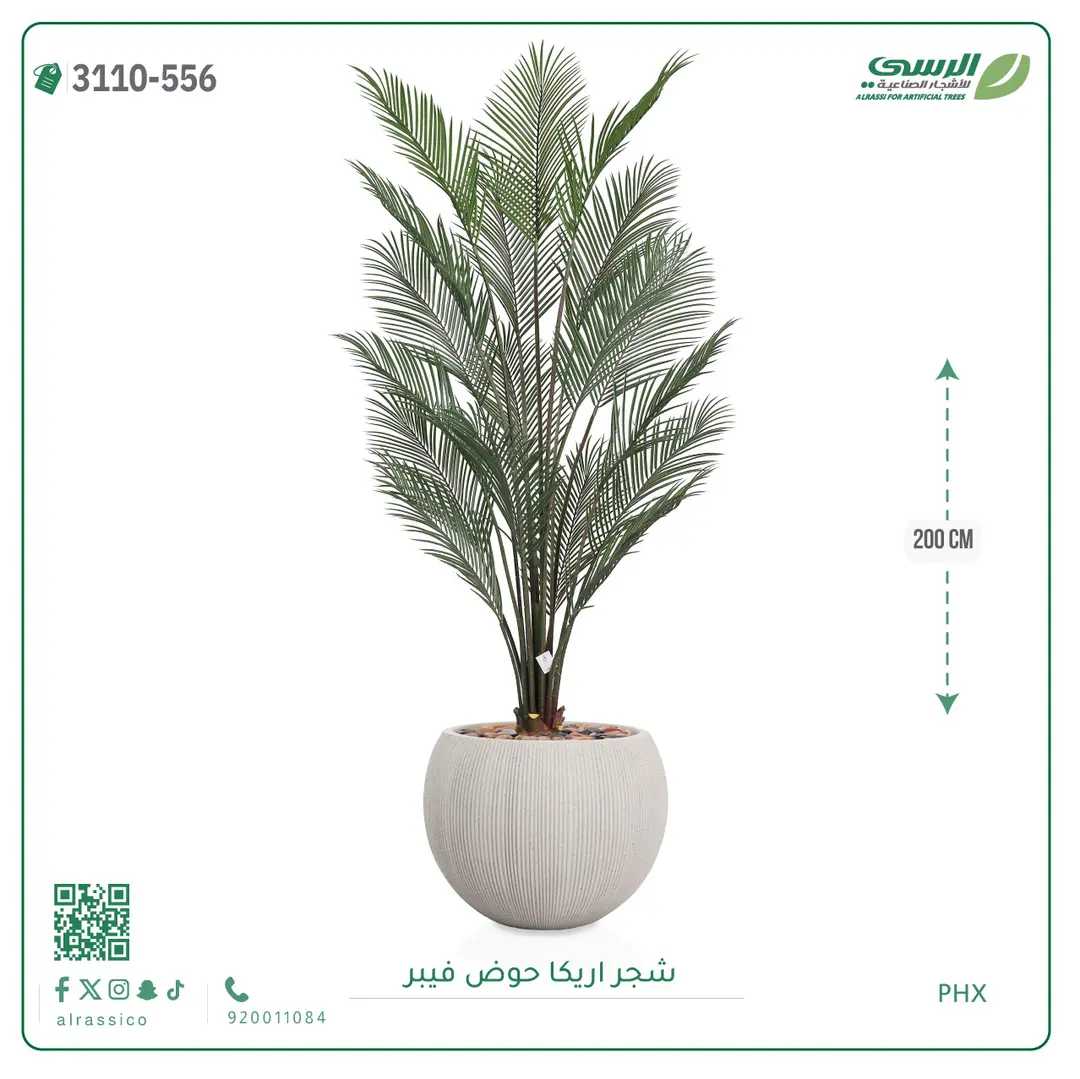  شجرة اريكا صناعية ( ارتفاع 200 سم ) حوض فيبر 