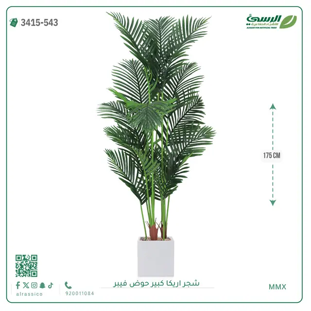  شجر أريكا صناعية ( ارتفاع 175 سم ) حوض فيبر 