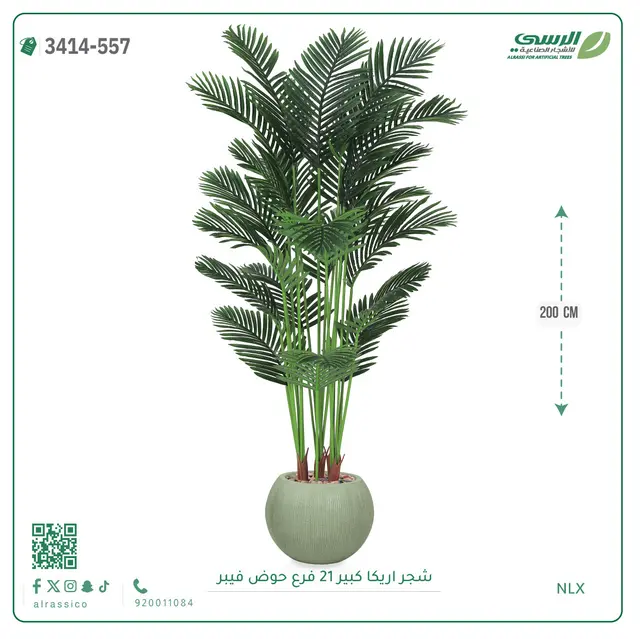  شجرة أريكا صناعية 21 فرع (ارتفاع 200 سم) حوض فيبر 
