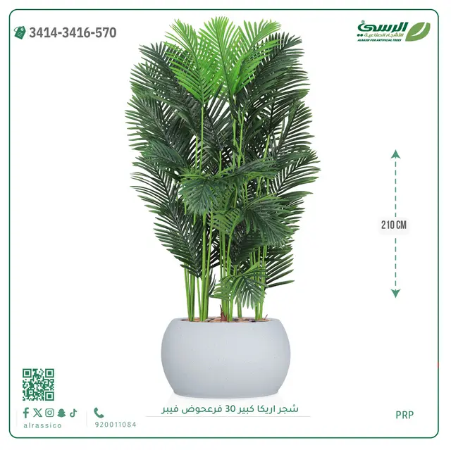  شجر أريكا صناعية ( ارتفاع 210 سم ) حوض فيبر 