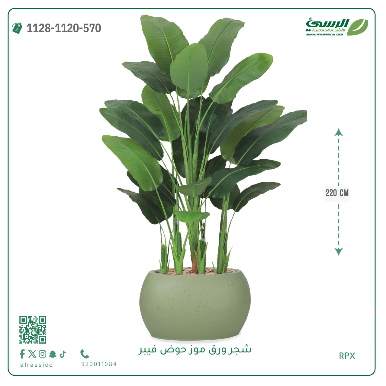  شجرة ورق موز صناعية ( ارتفاع 220 سم ) حوض فيبر 