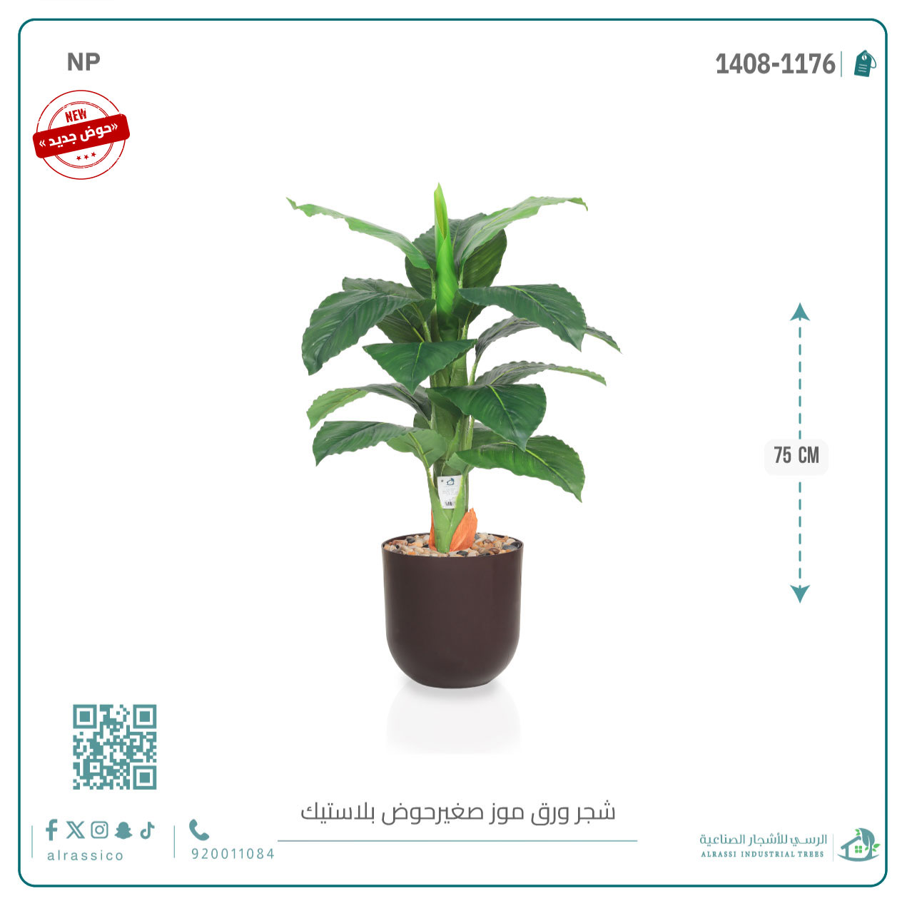   شجرة ورق موز صغير بمركن بلاستيك أسطواني 