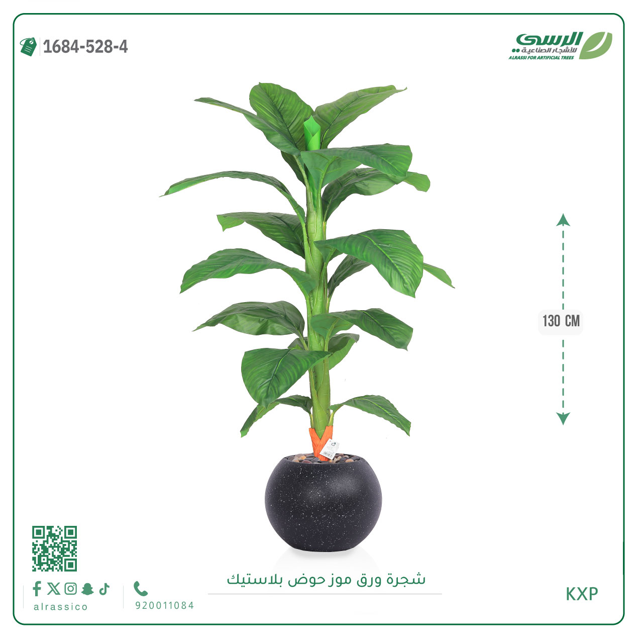  شجرة ورق موز متوسطة بمركن بلاستيك دائرى  