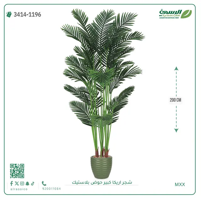  شجر أريكا صناعية ( ارتفاع 200 سم ) حوض بلاستك 