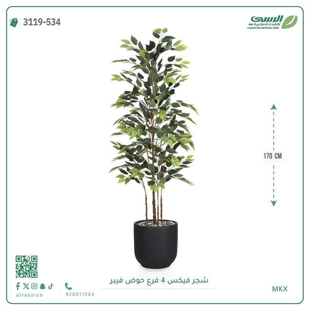  شجرة فيكس صناعية (ارتفاع 170 سم) بحوض فيبر 
