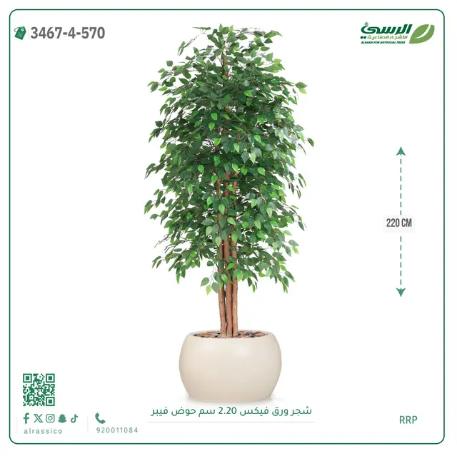  شجر فيكس صناعية (ارتفاع 220 سم) حوض فيبر 
