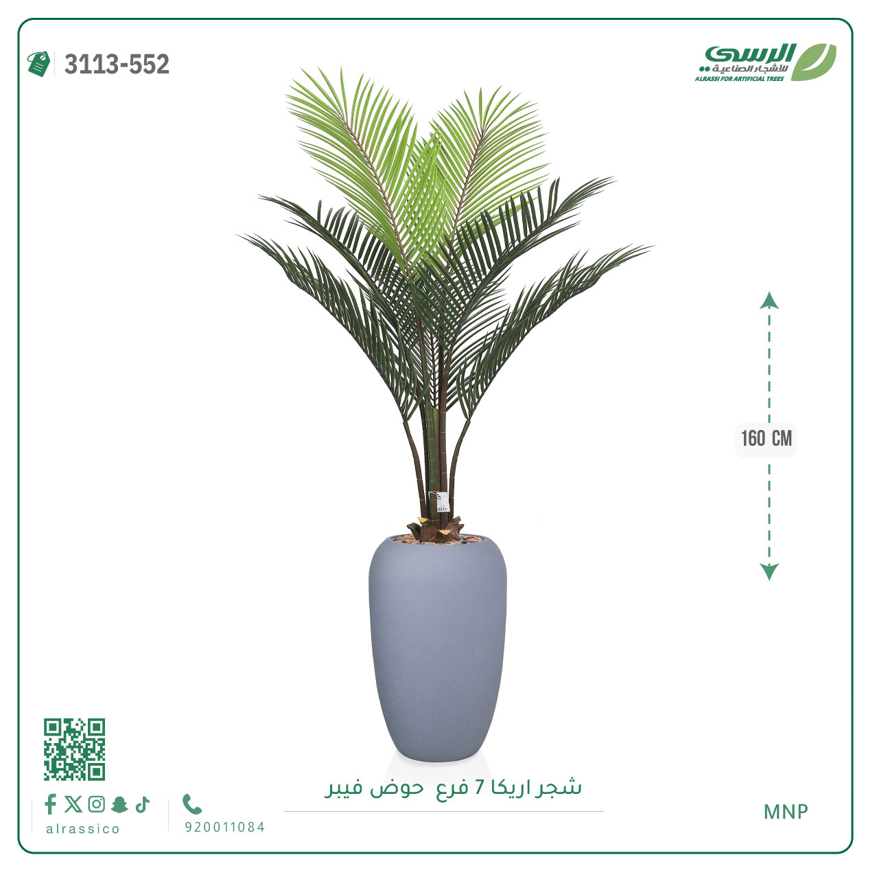  شجر أريكا (7 فروع) بارتفاع (160)بمركن فيبر أسطواني 