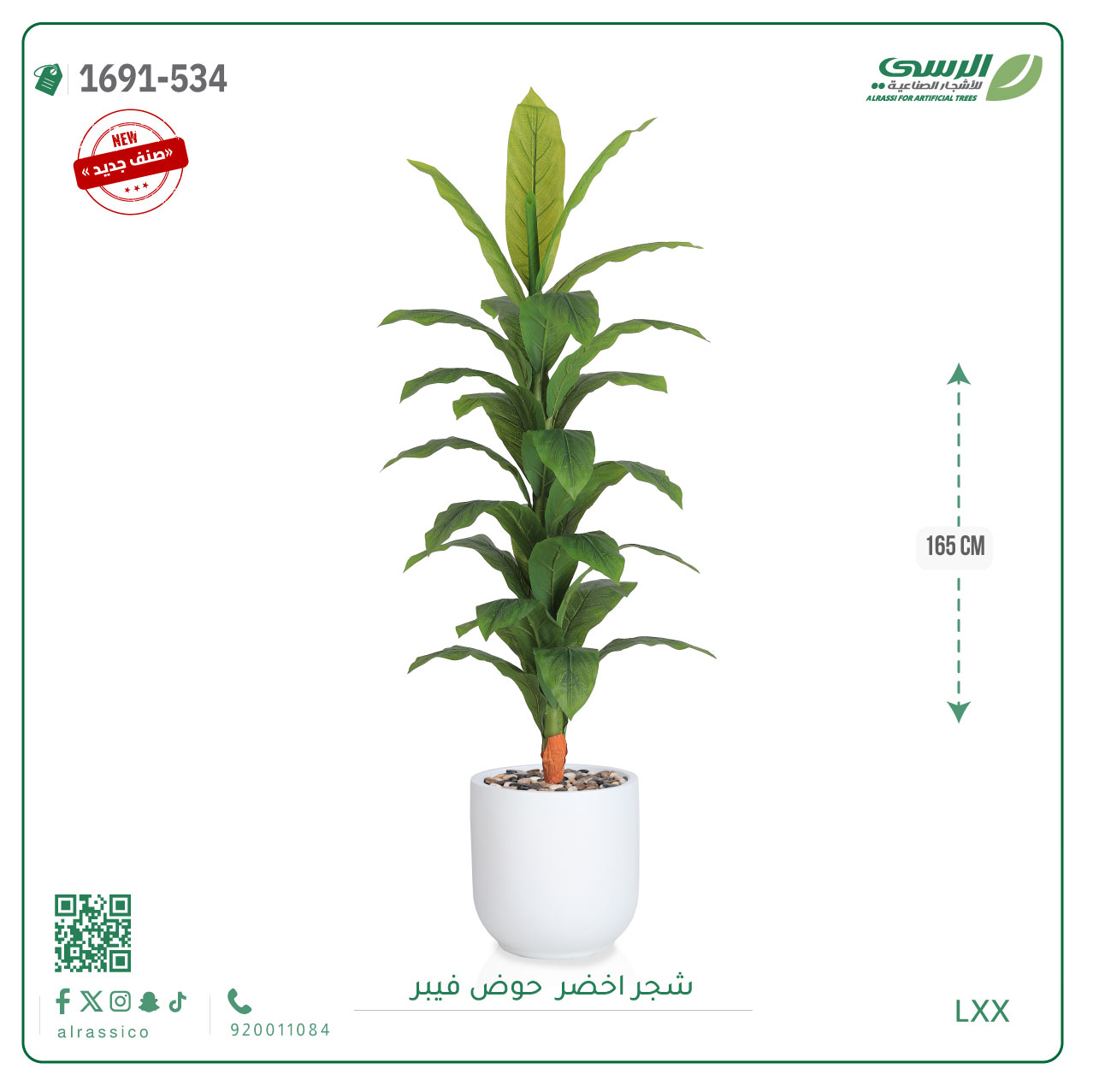  شجرة ورق أخضر وسط بمركن فيبر اسطوانى  