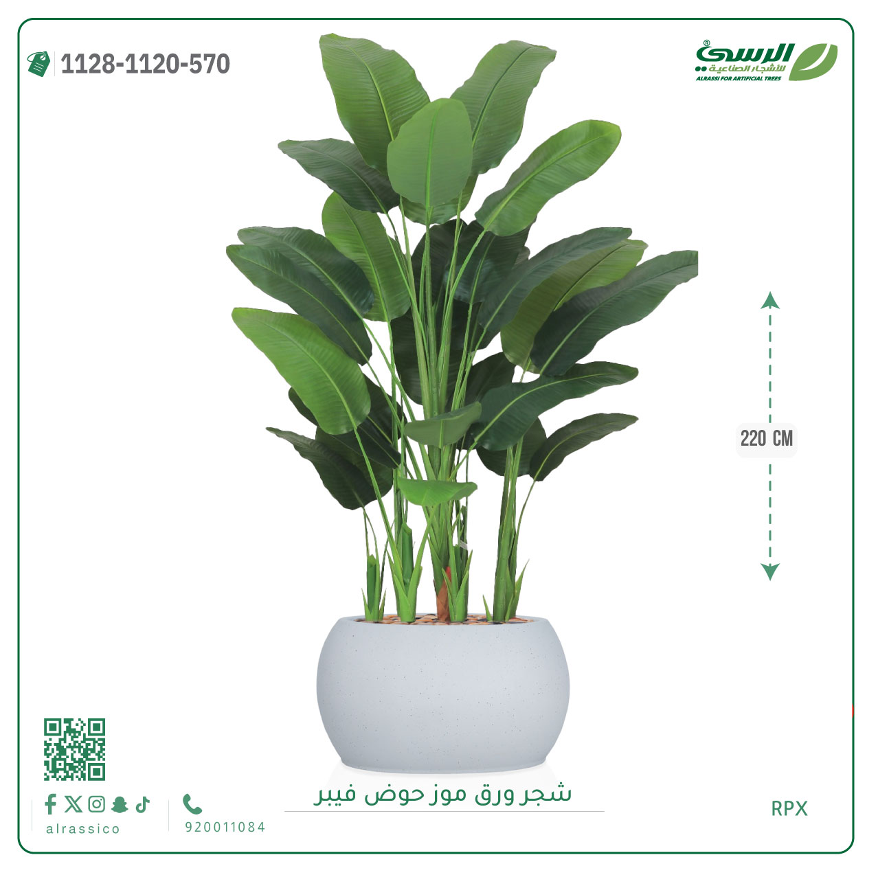  شجرة ورق موز صناعية ( ارتفاع 220 سم ) حوض فيبر 