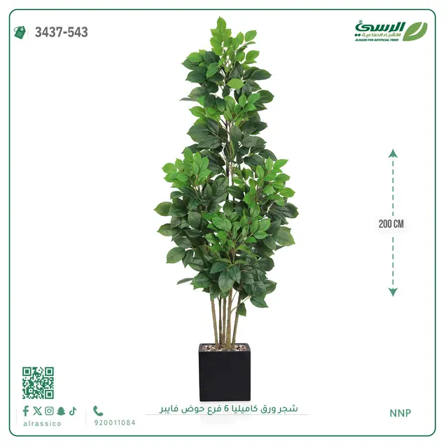  شجرة كاميليا صناعية (ارتفاع 200 سم) 6 فروع حوض فيبر 