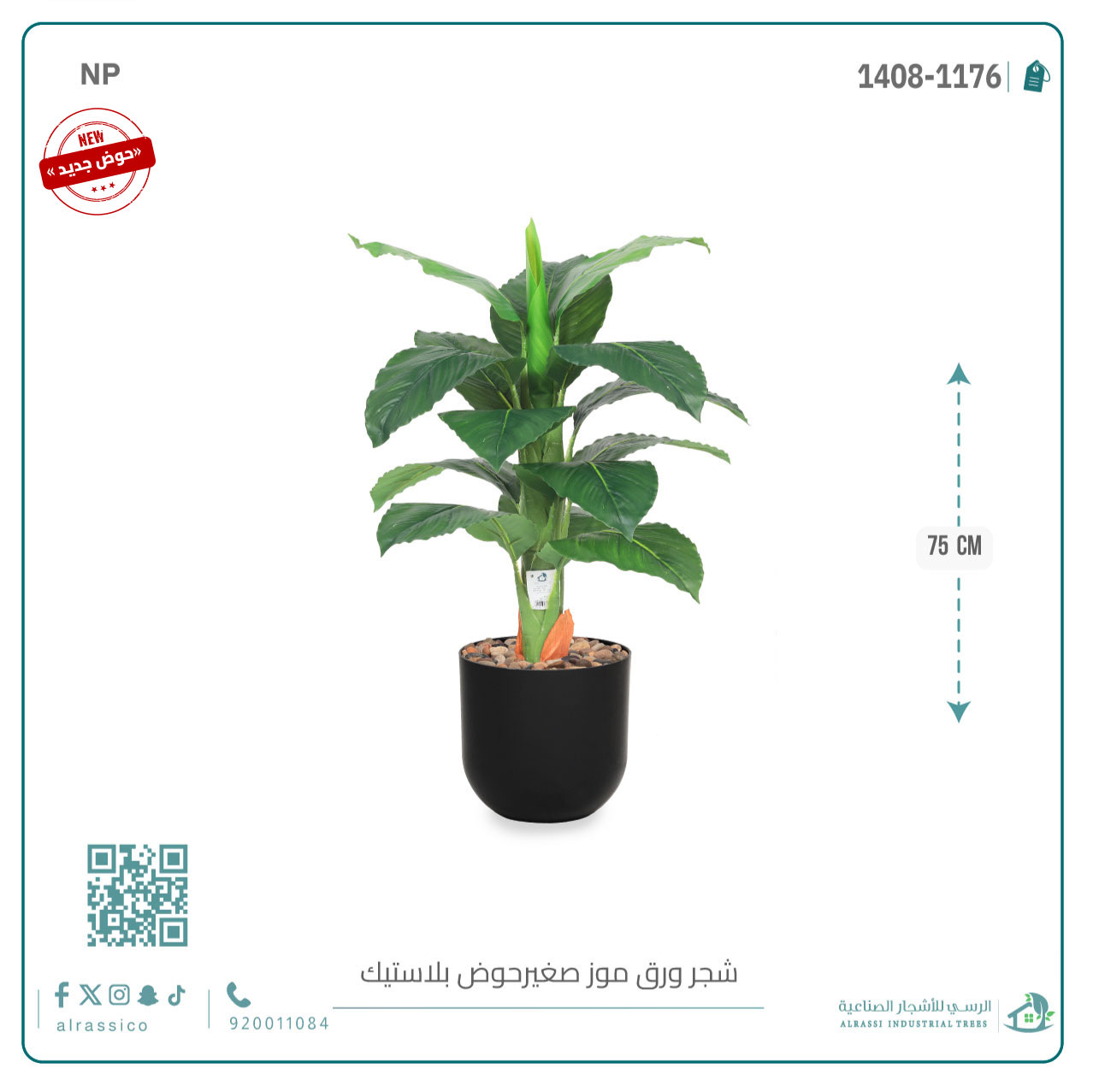   شجرة ورق موز صغير بمركن بلاستيك أسطواني 