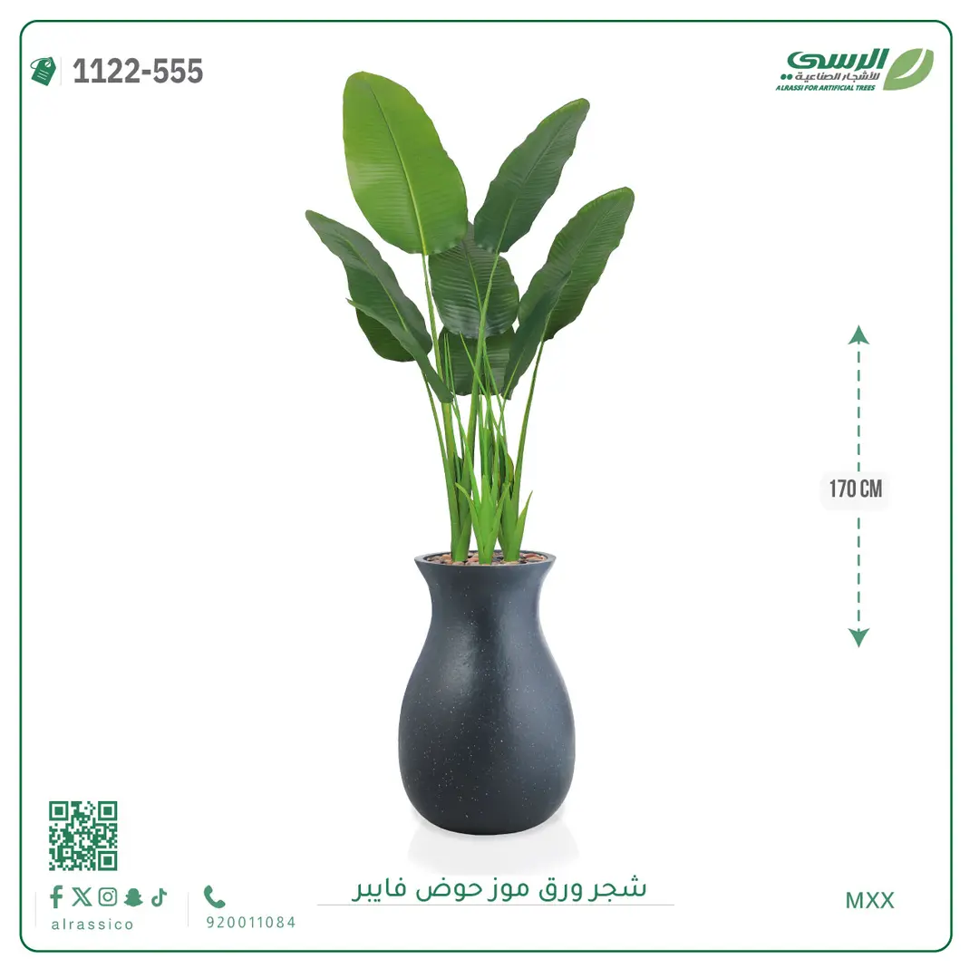  شجرة موز صناعية ( ارتفاع 170 سم ) حوض فيبر 