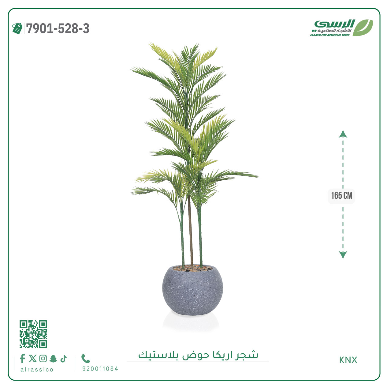  شجرة اريكا صناعية ( ارتفاع 165 سم ) حوض بلاستك 
