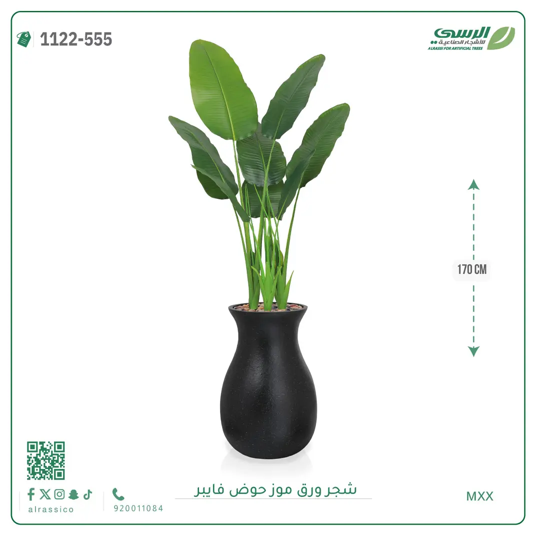 شجرة موز صناعية ( ارتفاع 170 سم ) حوض فيبر 