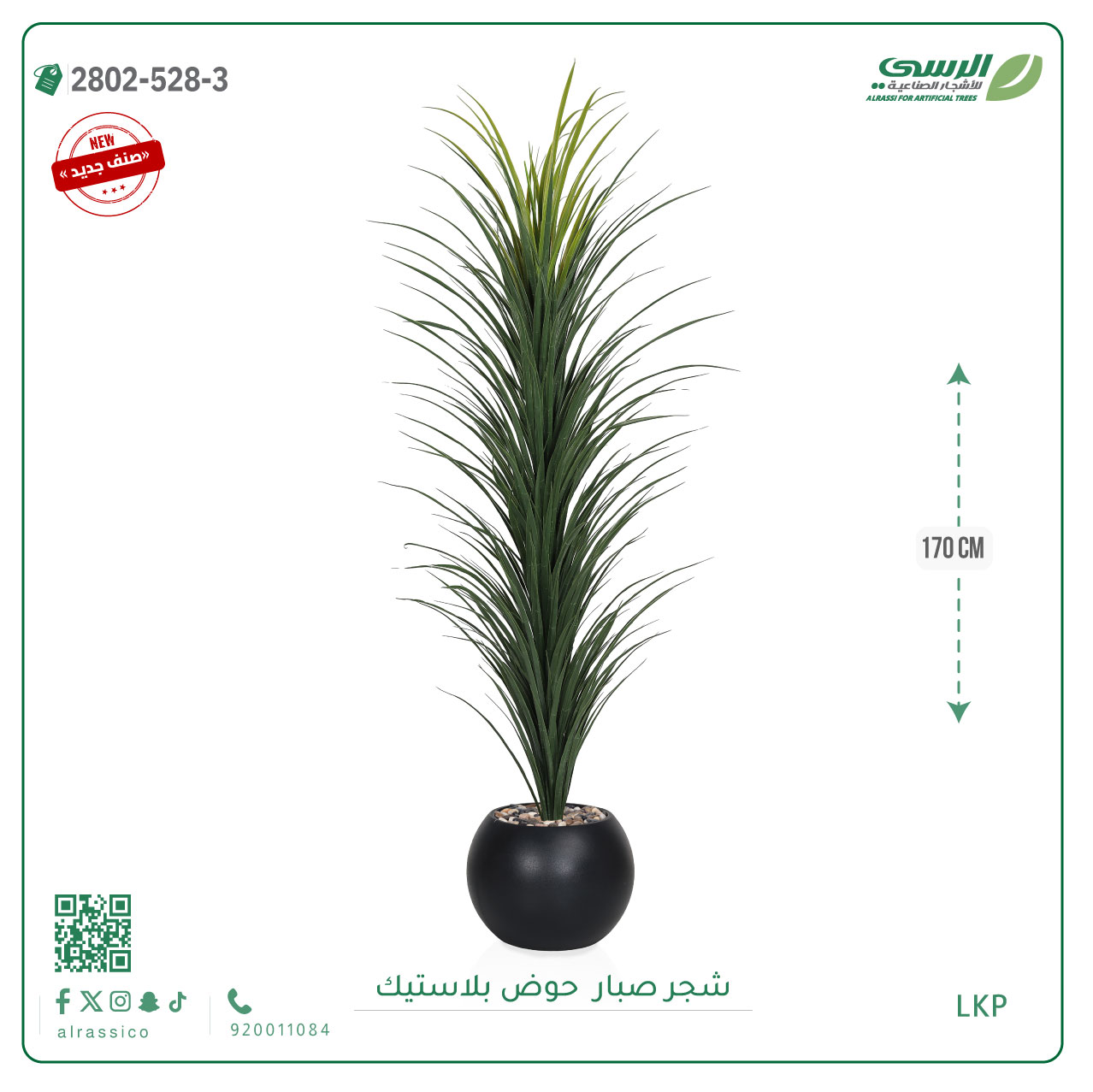   شتلة صبار بمركن بلاستيك دائري 