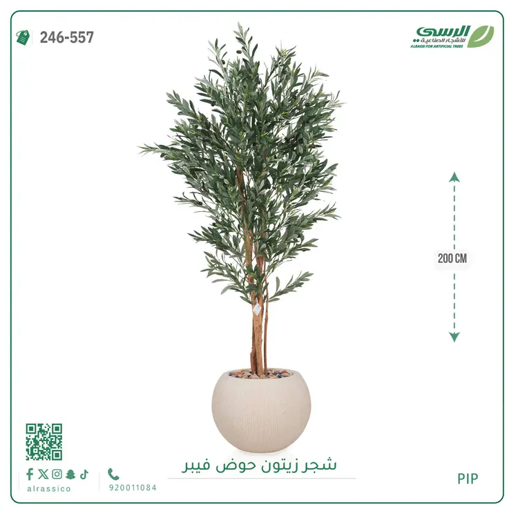  شجر زيتون صناعية ( ارتفاع 200 سم ) حوض فيبر 