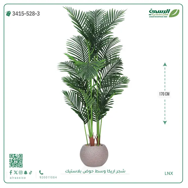  شجر أريكا صناعية ( ارتفاع 170 سم ) حوض بلاستك 