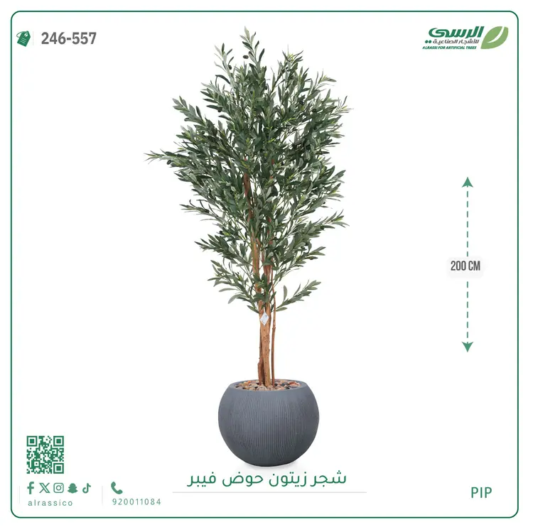  شجر زيتون صناعية ( ارتفاع 200 سم ) حوض فيبر 