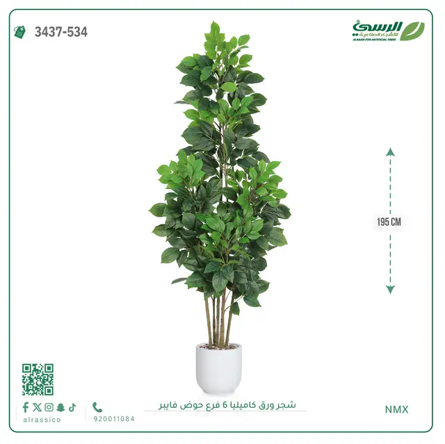  شجرة كاميليا صناعية (ارتفاع 195 سم) حوض فيبر 