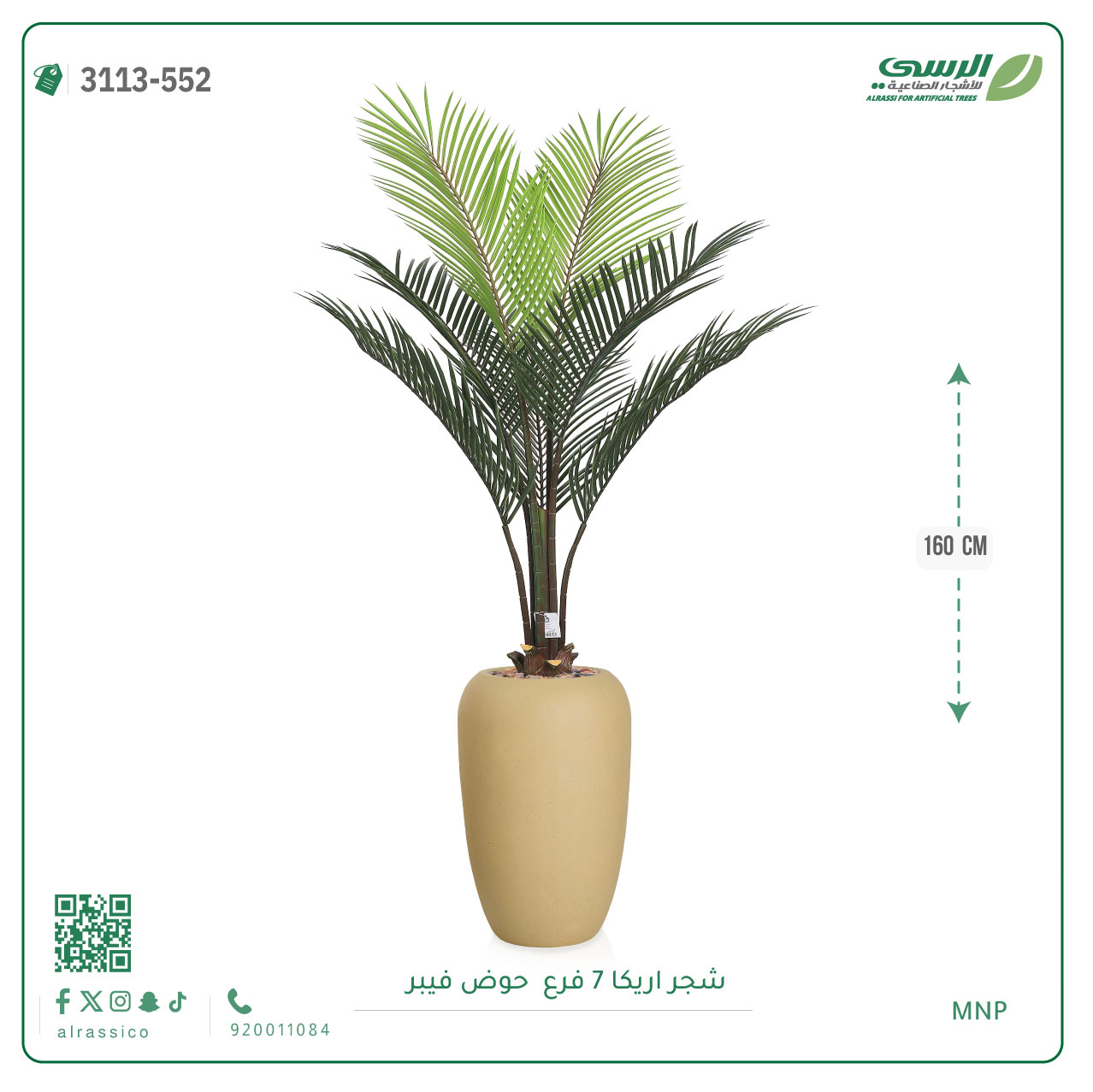  شجر أريكا (7 فروع) بارتفاع (160)بمركن فيبر أسطواني 