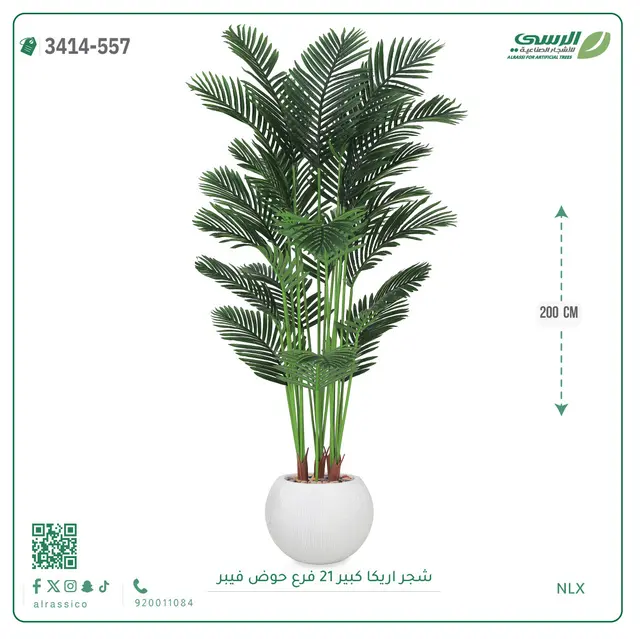  شجرة أريكا صناعية 21 فرع (ارتفاع 200 سم) حوض فيبر 