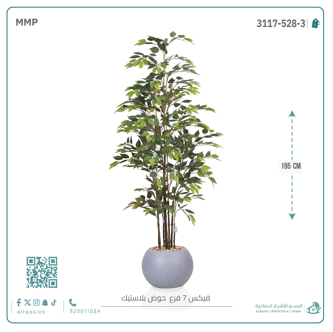  شجرة فيكس (7 فروع) بارتفاع195بمركن بلاستيك دائرى 