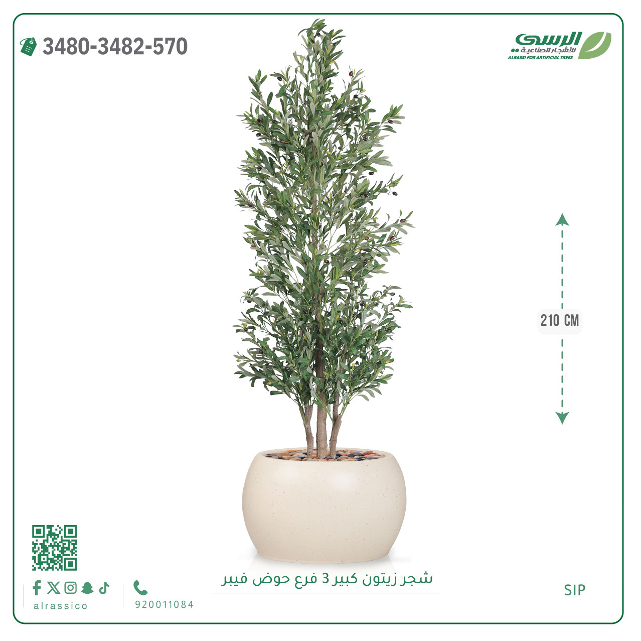  شجرة زيتون صناعية ( ارتفاع 240 سم ) حوض فيبر 