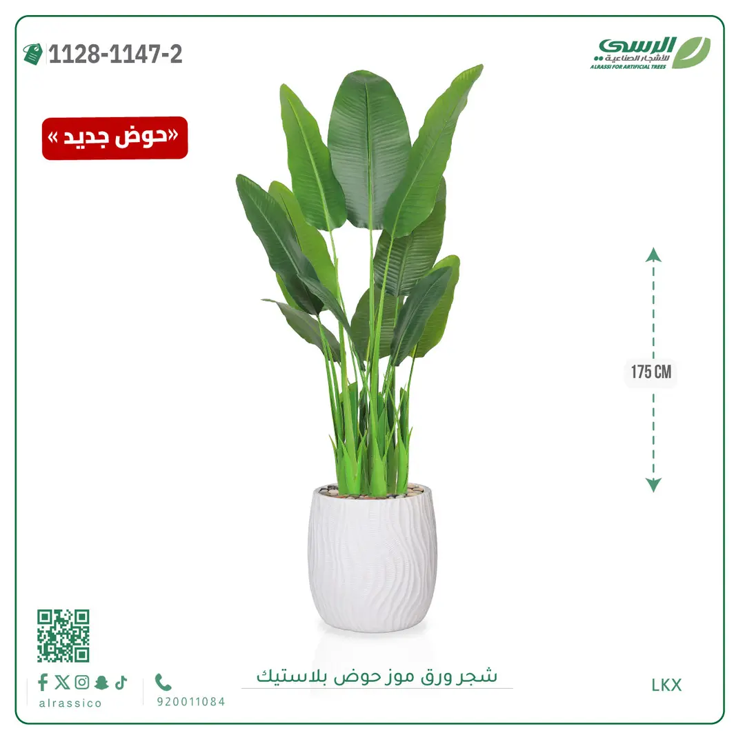  شجرة موز صناعية ( ارتفاع 175 سم ) حوض بلاستيك 