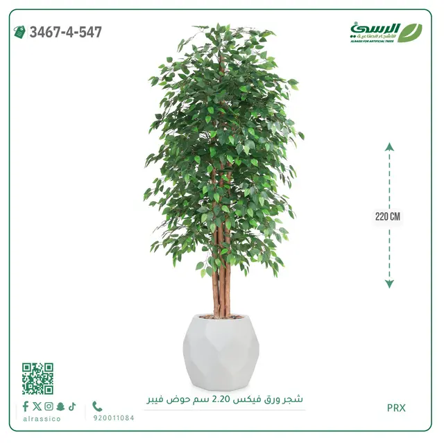  شجر فيكس صناعية (ارتفاع 220 سم) حوض فيبر 
