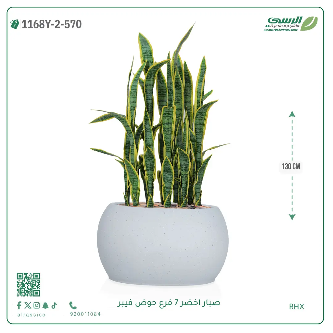  صبار صناعية ( ارتفاع 130 سم ) حوض فيبر 