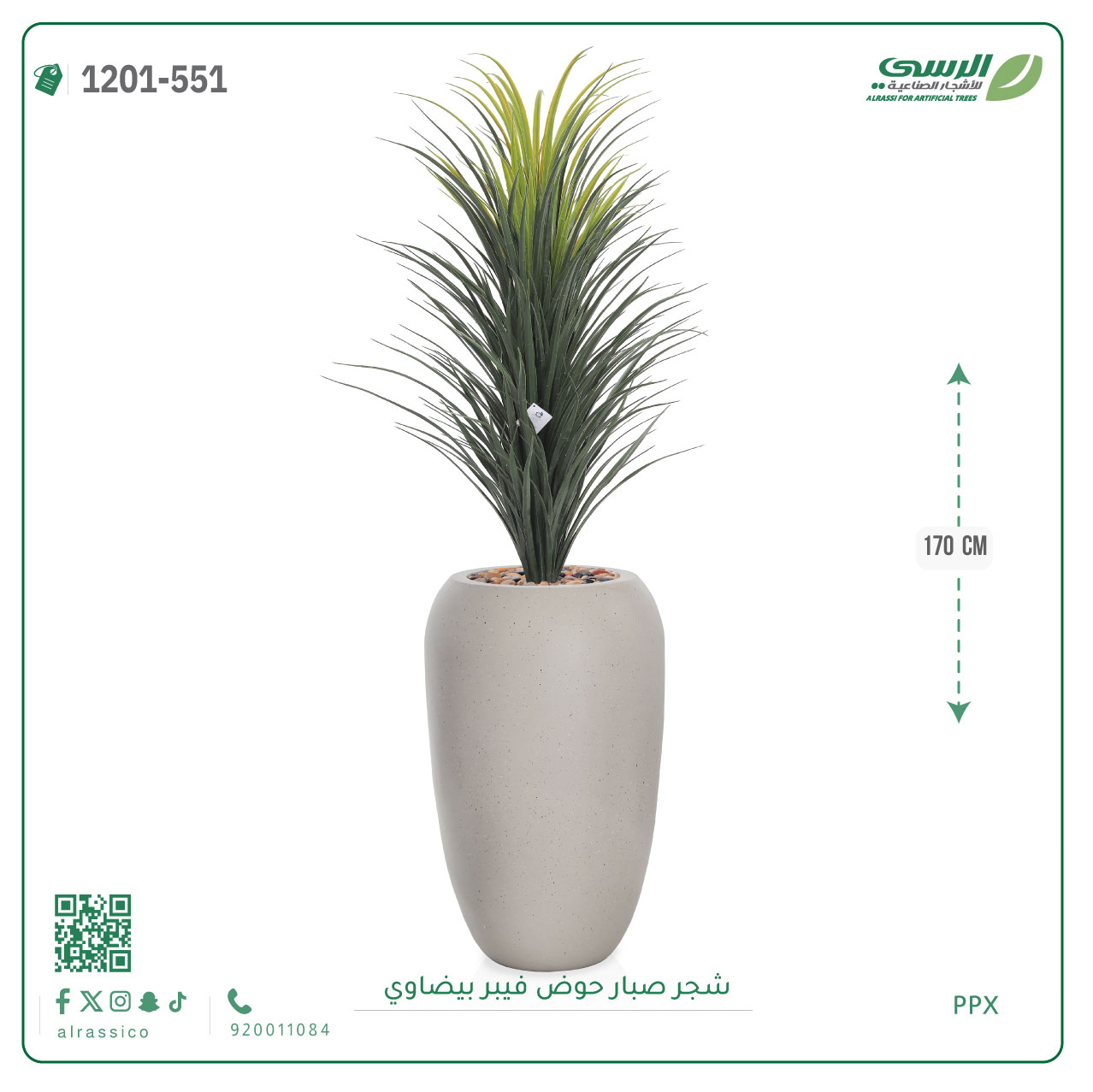  شجر صبار صناعية ( ارتفاع 170 سم ) حوض فيبر 