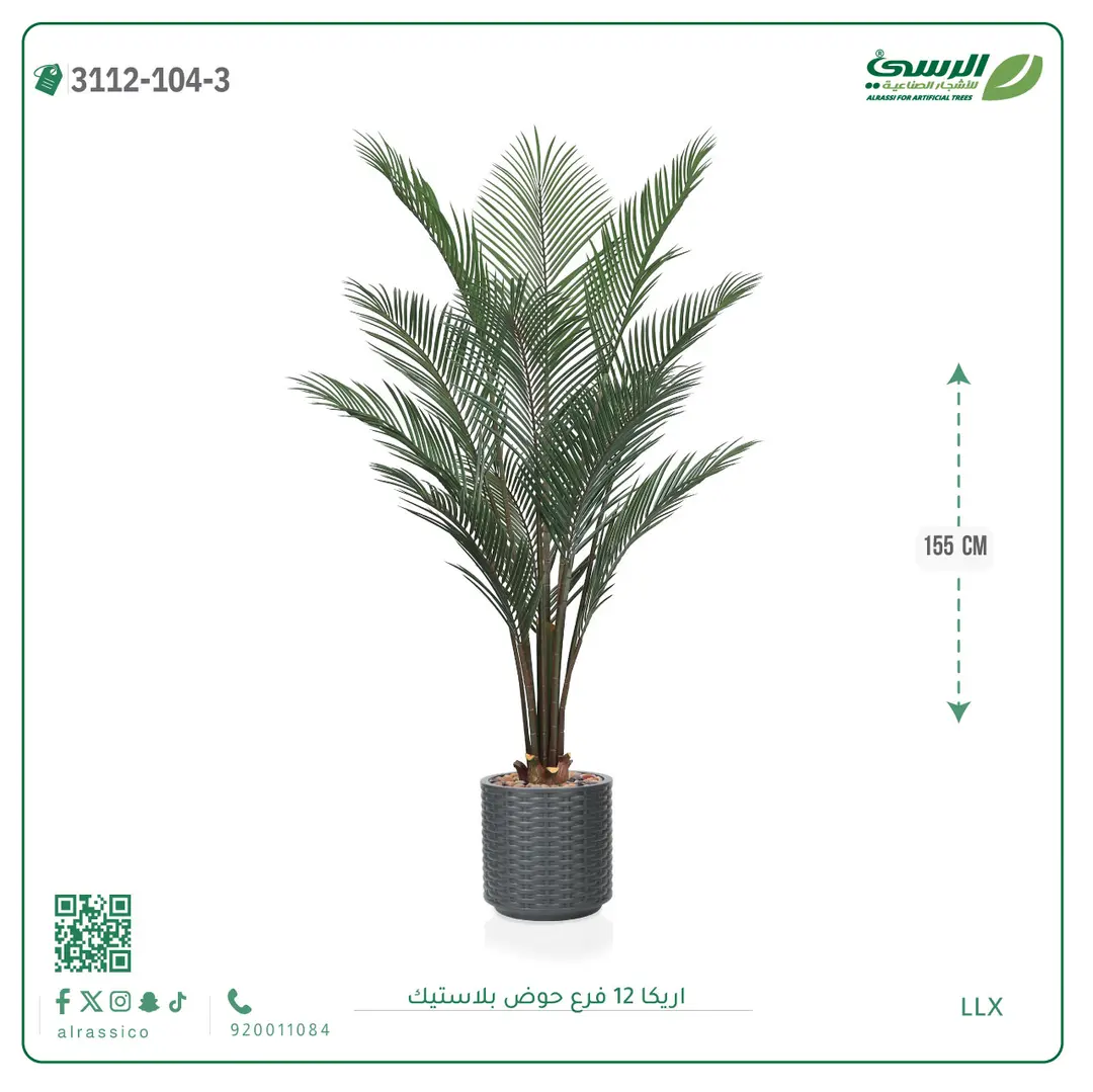  شجرة اريكا صناعية ( ارتفاع 155 سم ) حوض بلاستيك 