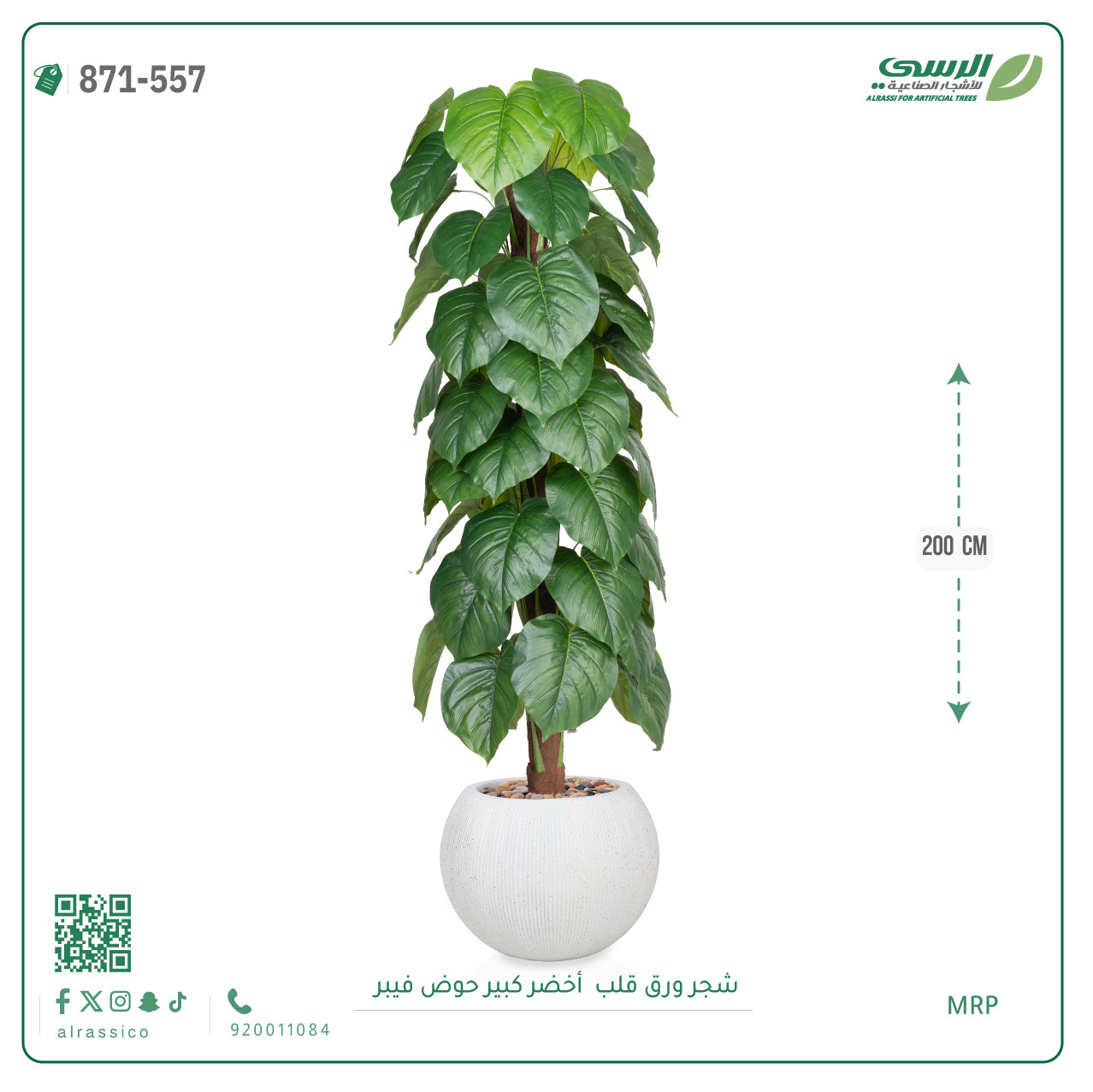  شجرة ورق قلب اصطناعية ( ارتفاع 200 سم ) حوض فايبر 