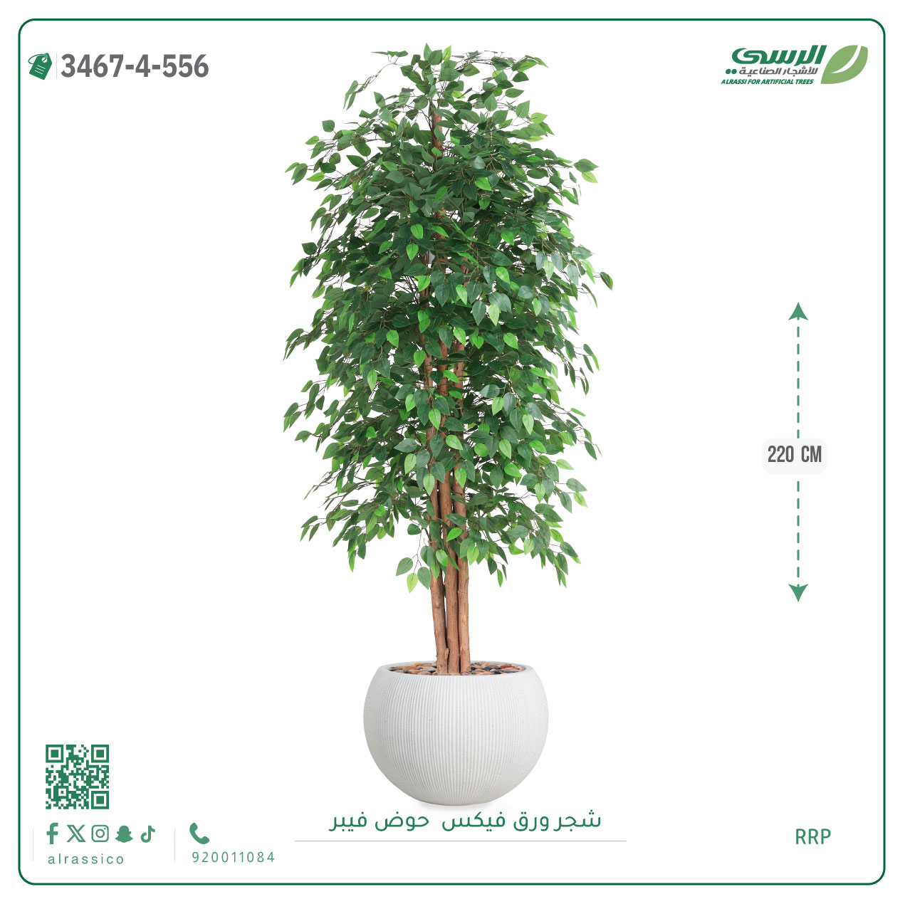  شجرة فيكس اصطناعية ( ارتفاع 220 سم ) حوض فايبر 