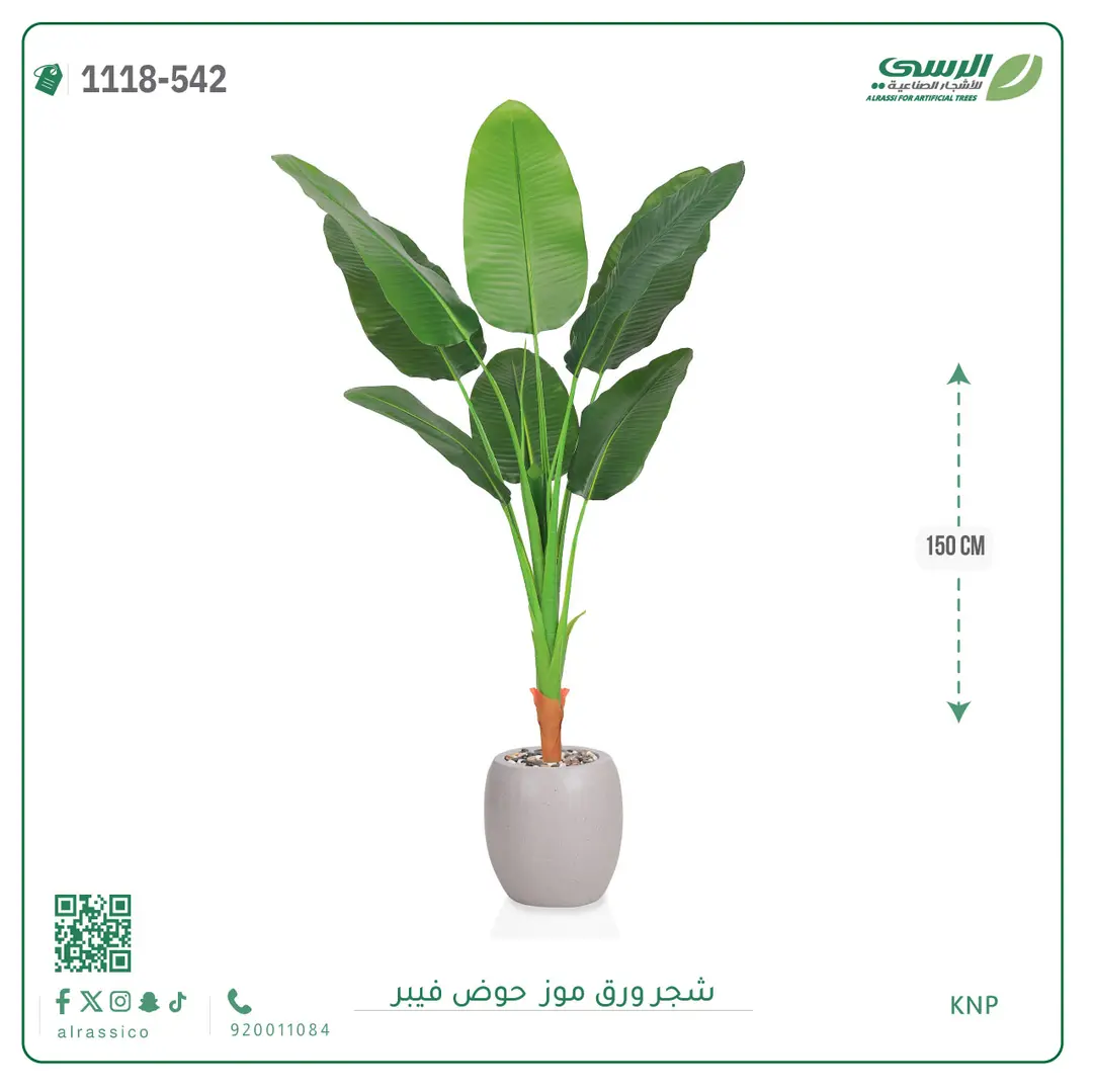  شجرة موز صناعية ( ارتفاع 150 سم ) حوض فيبر 