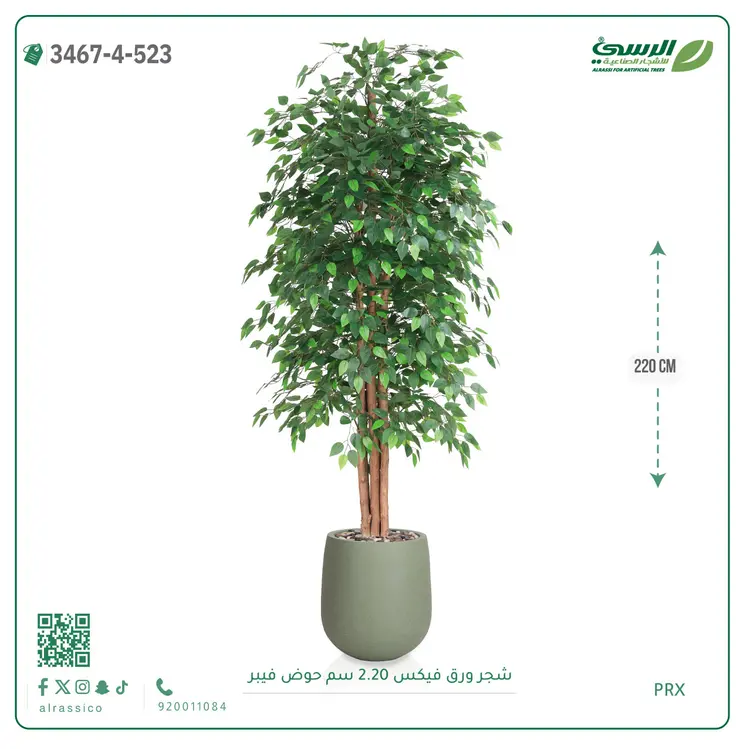  شجر فيكس صناعية (ارتفاع 220 سم) حوض فيبر 