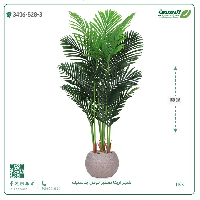  شجر أريكا صناعية ( ارتفاع 150 سم ) حوض بلاستك 