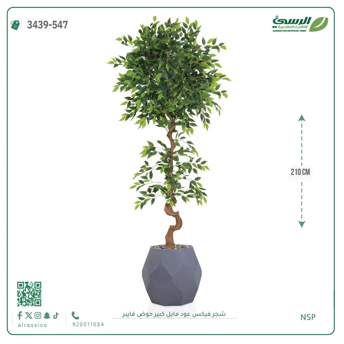  شجرة فيكس صناعية عود مائل (ارتفاع 210 سم) حوض فيبر 
