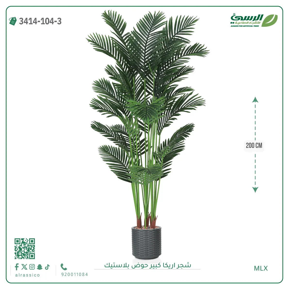  شجر أريكا صناعية ( ارتفاع 200 سم ) حوض بلاستك 