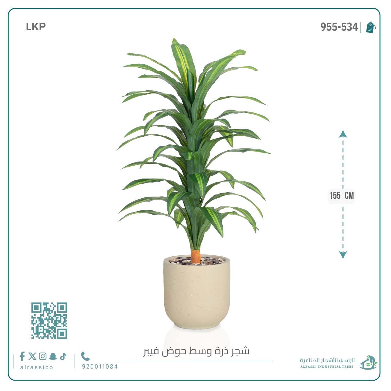   شجرة نبات الذرة (دراسينا) الاصطناعية كبيرة بمركن فيبر  أسطواني  