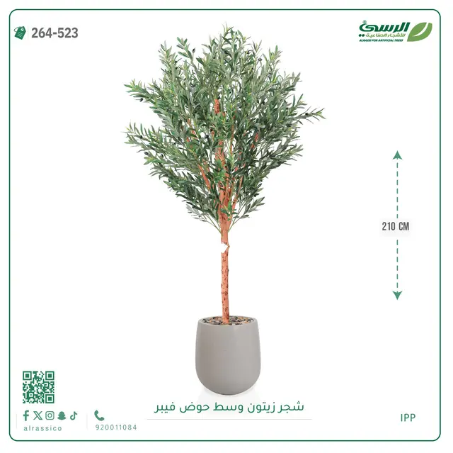  شجرة زيتون صناعية (ارتفاع 210 سم) بحوض فيبر 