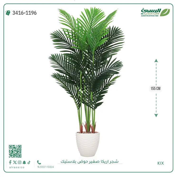  شجر أريكا صناعية ( ارتفاع 155 سم ) حوض بلاستك 