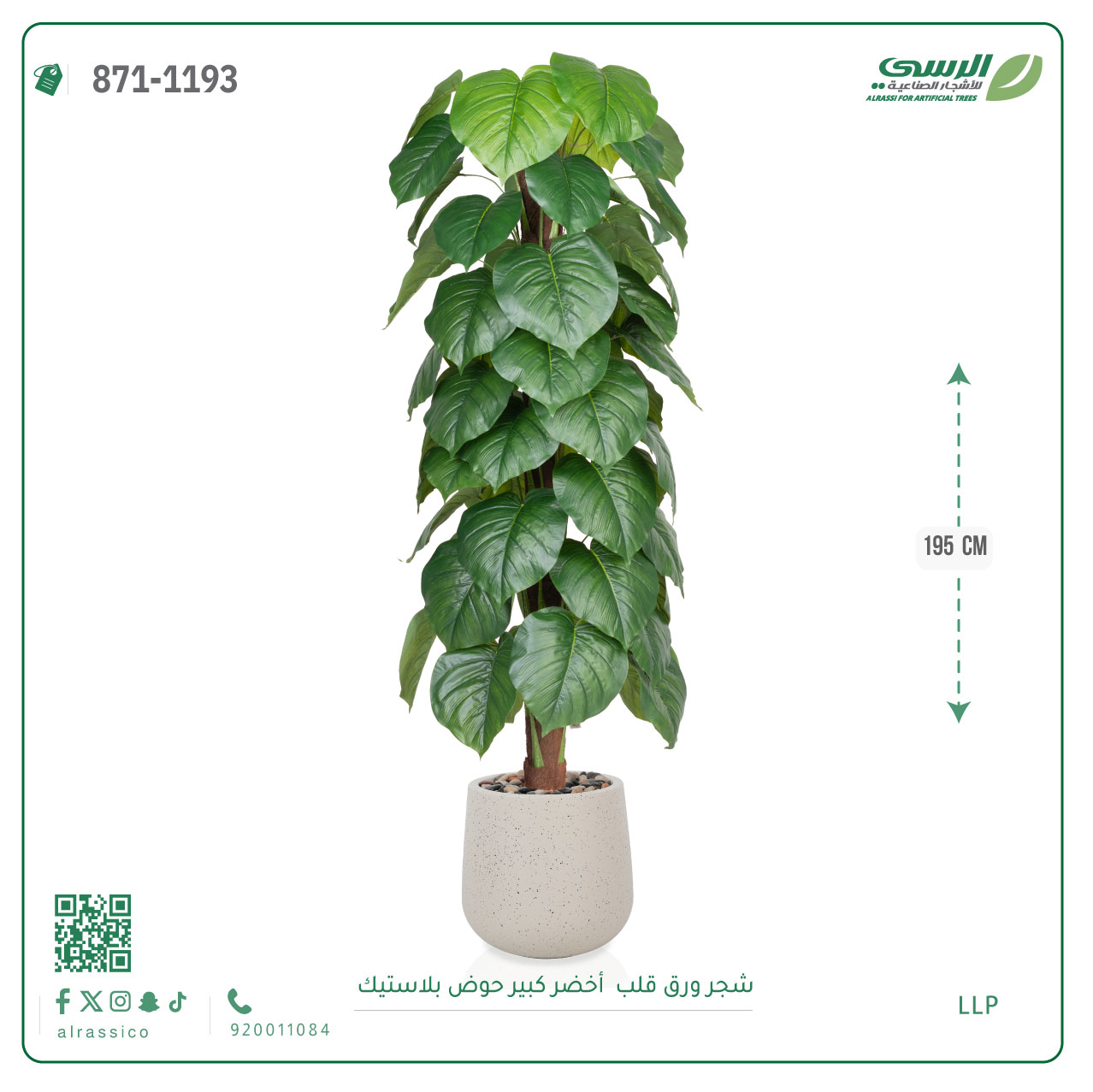  شجرة ورق قلب(ألوكاسيا) اصطناعية ( ارتفاع 195 سم ) حوض بلاستيك 
