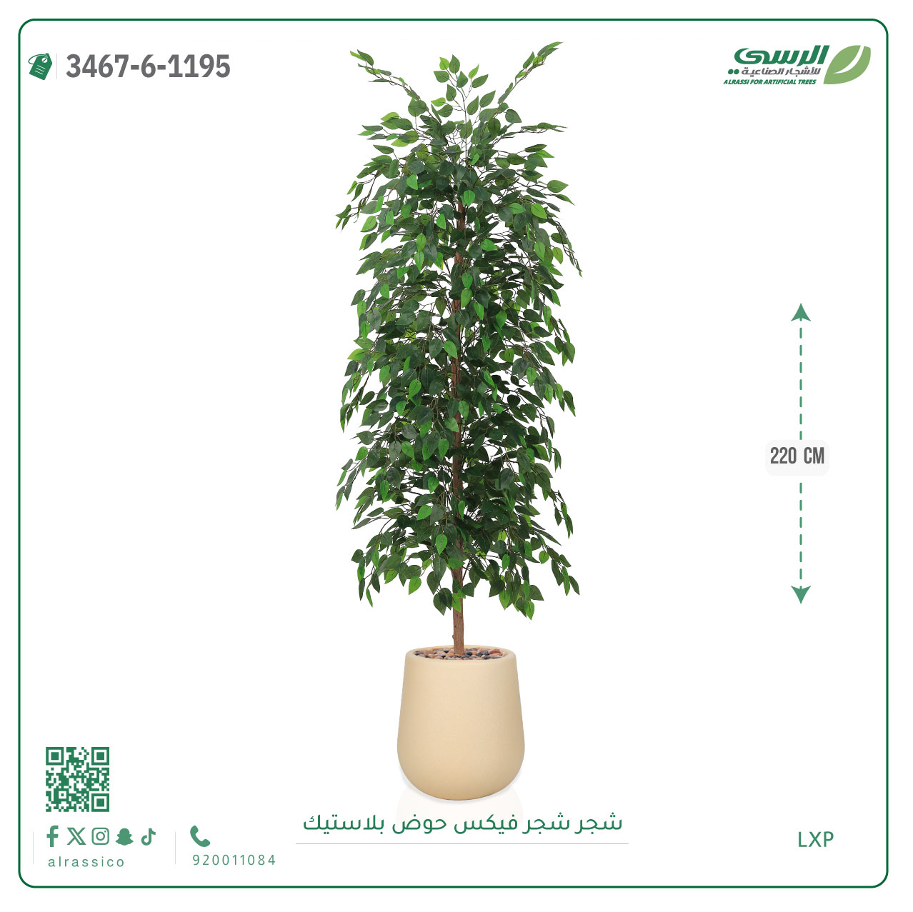  شجرة فيكس صناعية ( ارتفاع 220 سم ) حوض بلاستك 