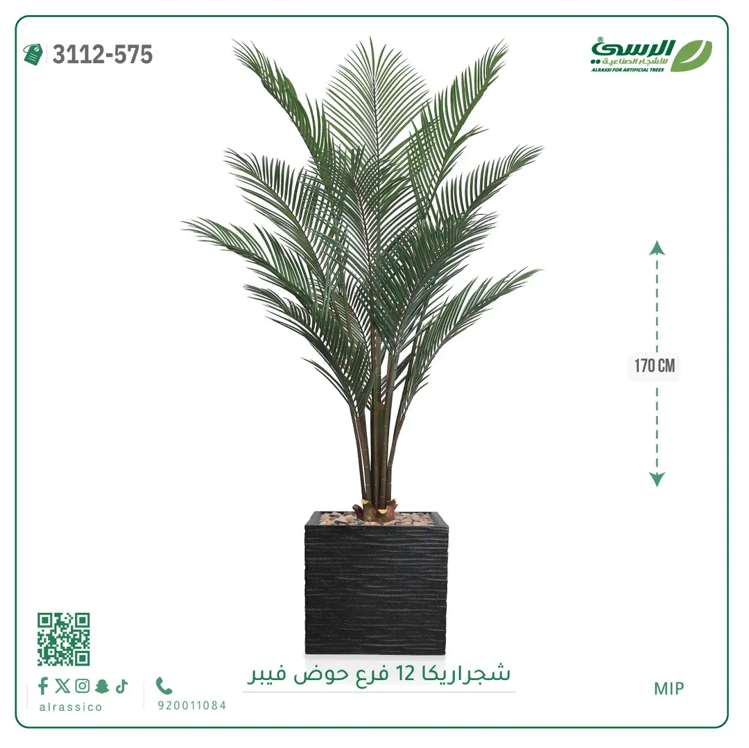  شجرة أريكا صناعية 12 فرع (ارتفاع 150 سم) حوض فيبر 