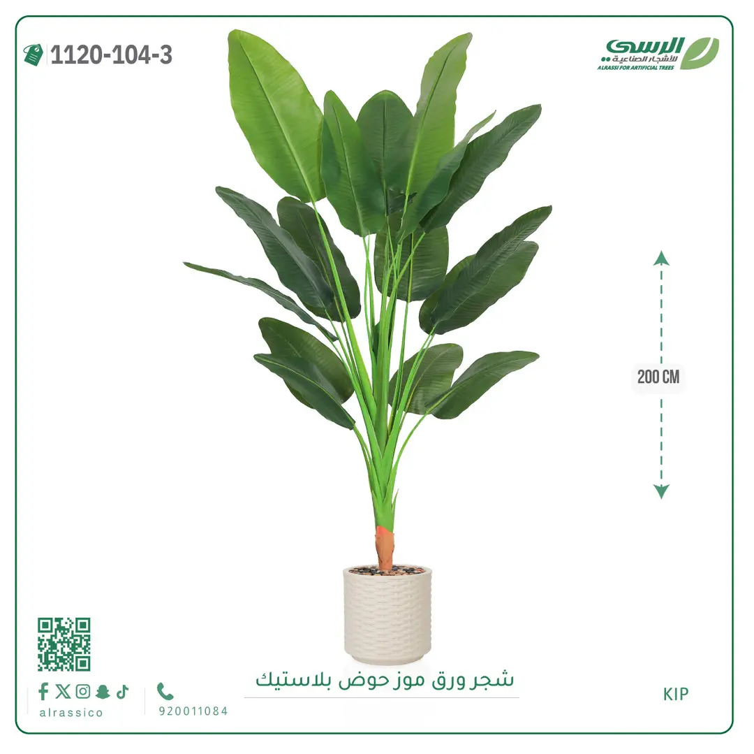  شجرة موز صناعية ( ارتفاع 200 سم ) حوض بلاستيك 