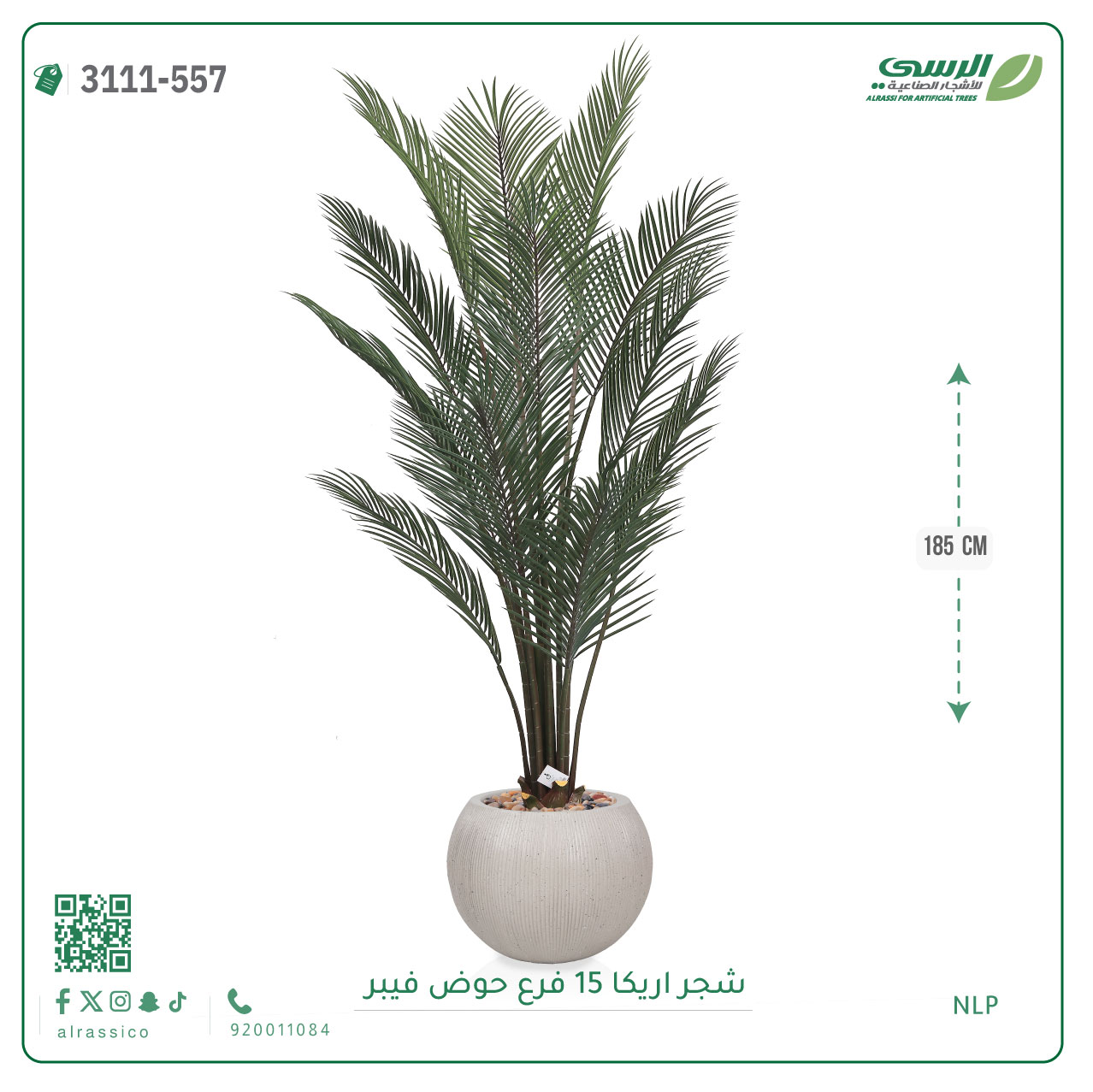  شجرة أريكا صناعية ( ارتفاع 185 سم ) حوض فيبر 