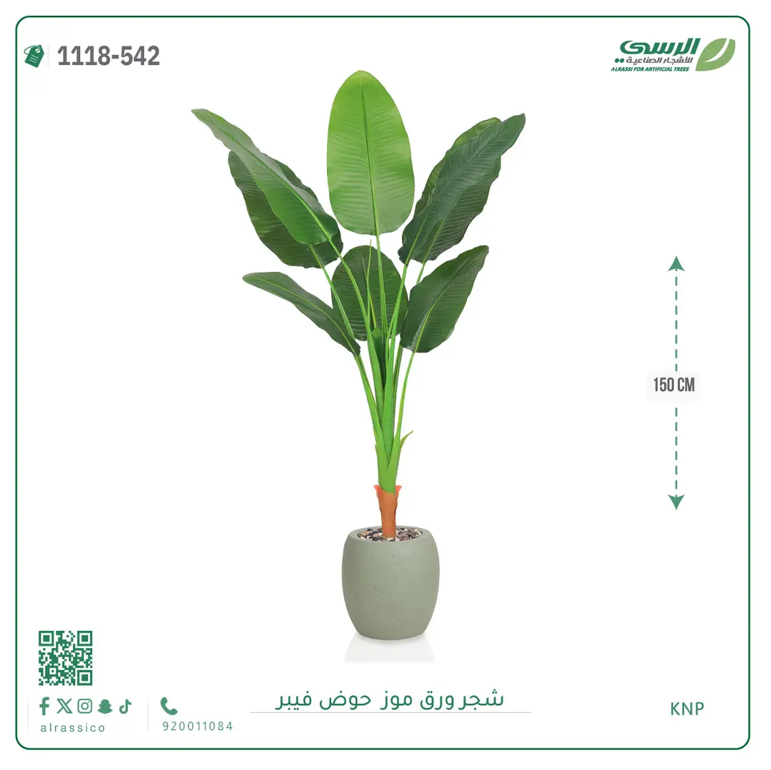  شجرة موز صناعية ( ارتفاع 150 سم ) حوض فيبر 