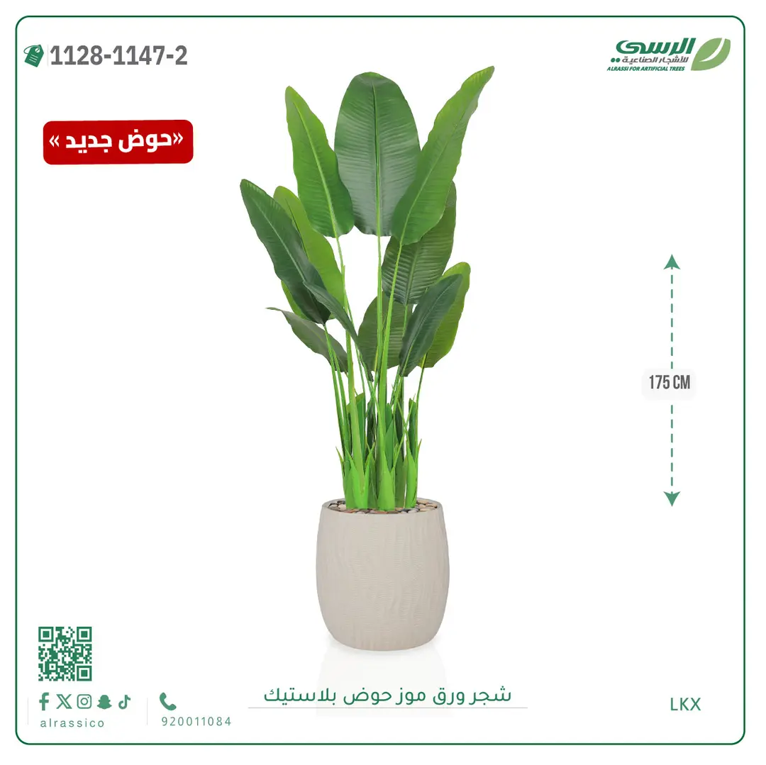  شجرة موز صناعية ( ارتفاع 175 سم ) حوض بلاستيك 